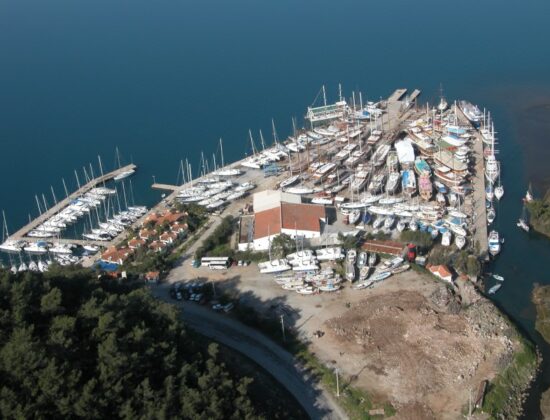 Albatros Marina - Fotoğraf 7