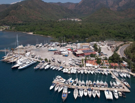 Albatros Marina - Fotoğraf 8