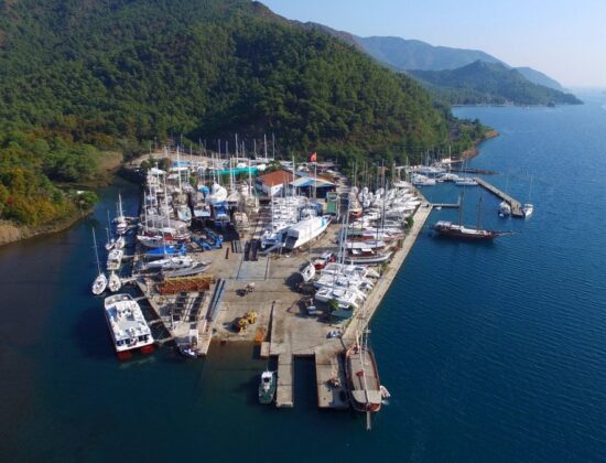 Albatros Marina - Fotoğraf 9