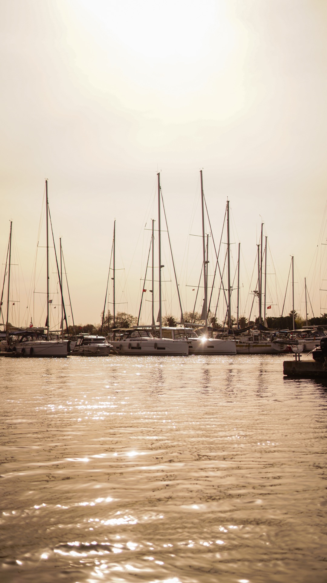 Ataköy Marina - Fotoğraf 22