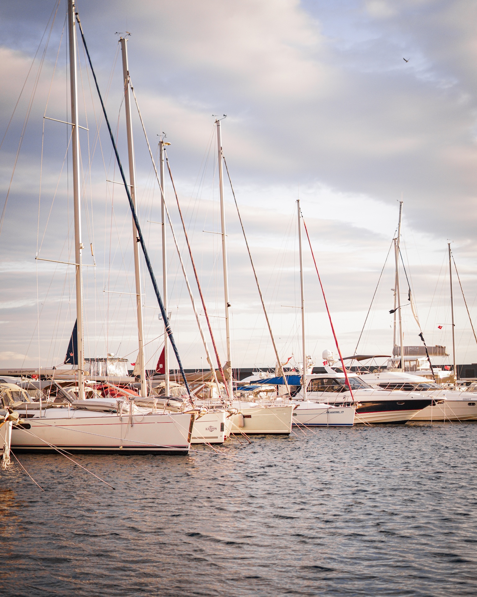 Ataköy Marina - Fotoğraf 3