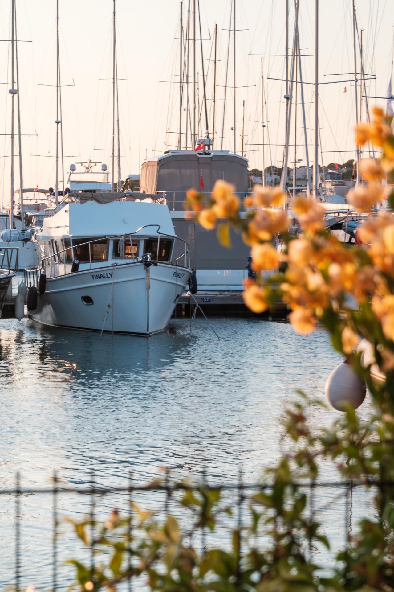 IC Çeşme Marina - Fotoğraf 14