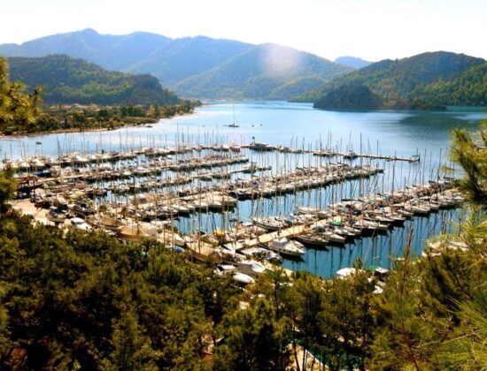 Martı Marina - Fotoğraf 25