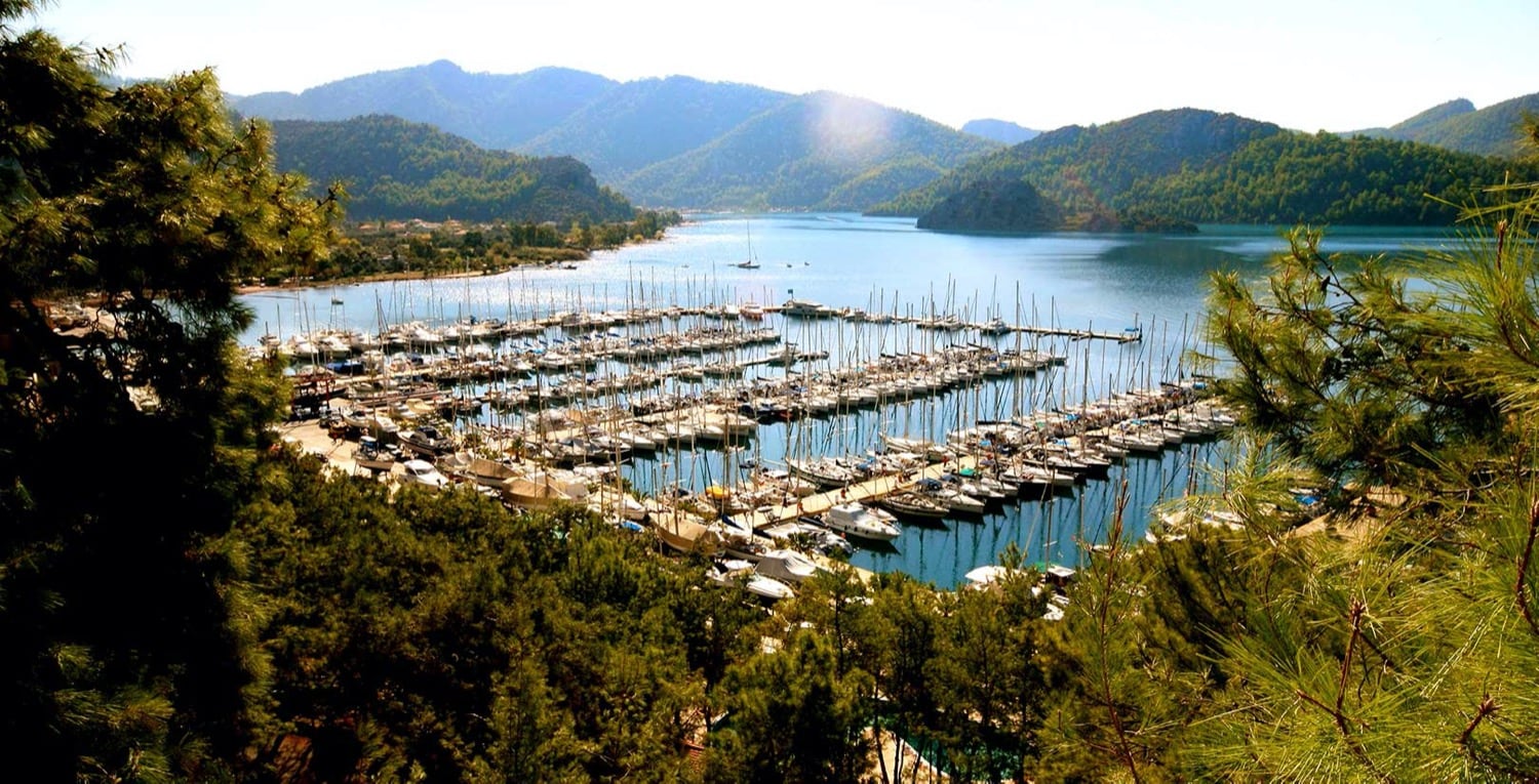 Martı Marina - Fotoğraf 3
