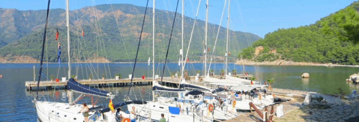 My Marina Yacht Club - Fotoğraf 4